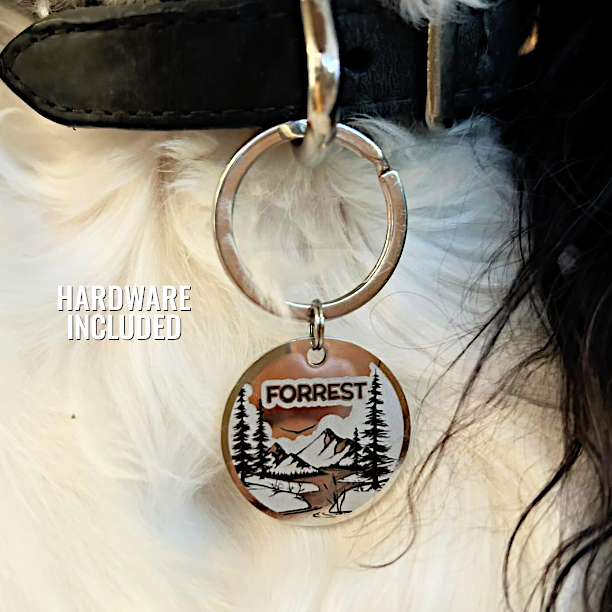 Custom Engraved Pet ID Tag for Dog or Cat collars